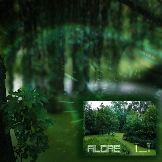 ALGAE
